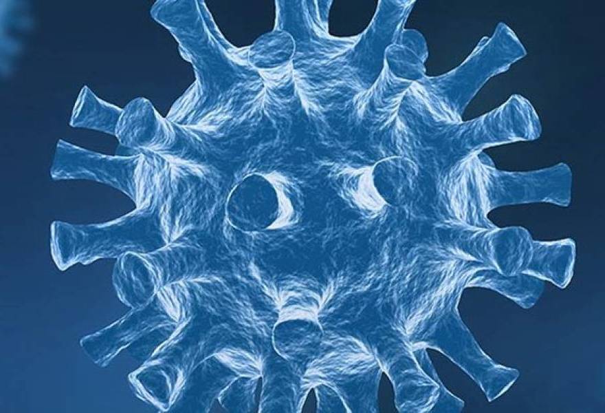 Efectividad del servicio de desinfeccin Corona Virus Covid-19
