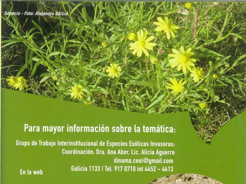 Especies Exticas Invasoras en Uruguay (EEI) (parte2)